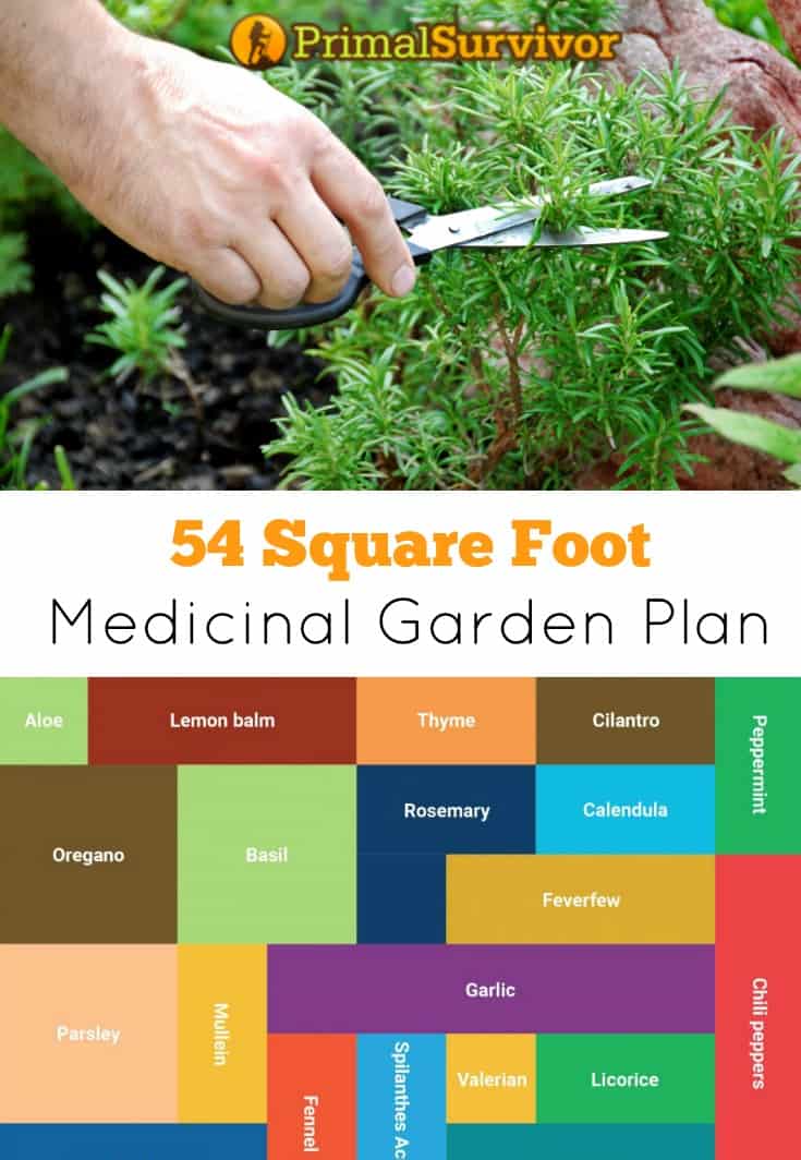 one foot garden plan