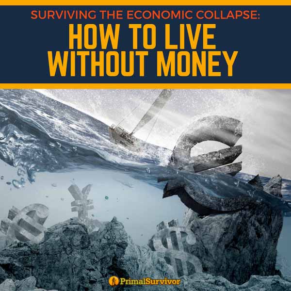 Surviving the Economic Collapse How to Live without Money