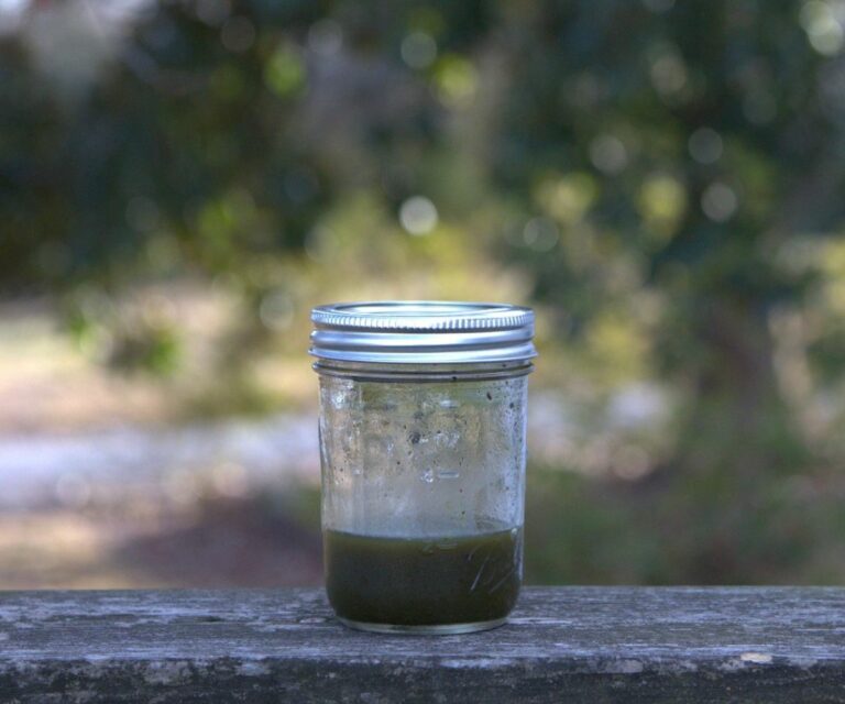How to Make Wild Lettuce Tincture